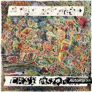 Cass McCombs - A Folk Set Apart