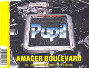 Pupil  - Amager Boulevard