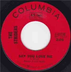 The Striders - Say You Love Me / Sorrow