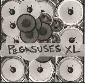 Pegasuses-XL - Electro Agitators