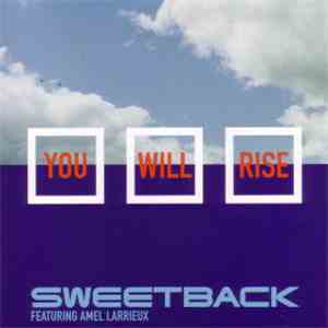 Sweetback Featuring Amel Larrieux - You Will Rise