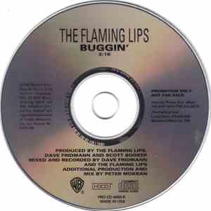 The Flaming Lips - Buggin'