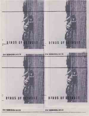 Birds Of Detroit - Birds Of Detroit