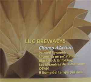 Luc Brewaeys - Champ d'Action