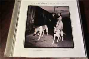 Van Morrison - Days Like This