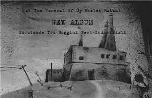 At The Funeral Of My Violet Rabbit - Scrutando Tra Ruggini Post-Industriali
