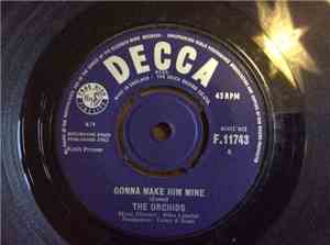The Orchids  - Gonna Make Him Mine