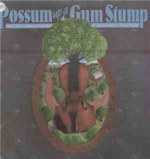 Various - Possum Up A Gum Stump