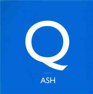 Ash - Binary