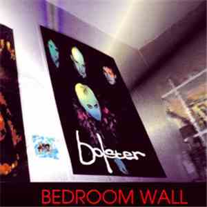 Bolster  - Bedroom Wall