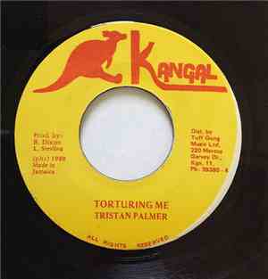 Tristan Palmer - Torturing Me