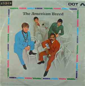 The American Breed - Pumpkin, Powder, Scarlet & Green