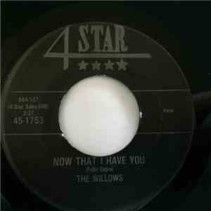 The Willows - Now That I Have You / There's A Dance Goin' On