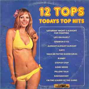 Unknown Artist - 12 Tops - Todays Top Hits