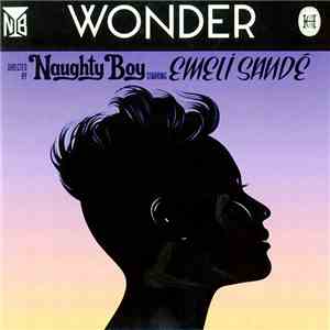 Naughty Boy  Starring Emeli Sandé - Wonder