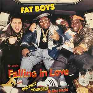 Fat Boys - Falling In Love