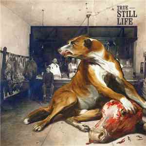 True  - Still Life