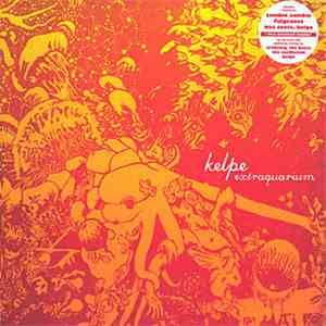 Kelpe - Extraquarium