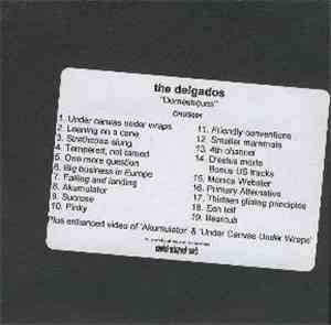 The Delgados - Domestiques