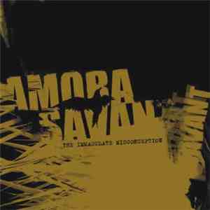 Amora Savant - The Immaculate Misconception