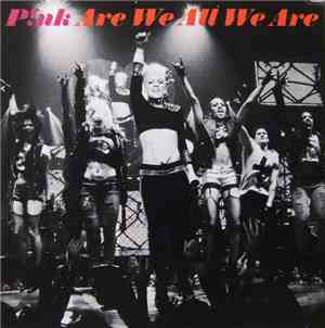 P!NK - Are We All We Are