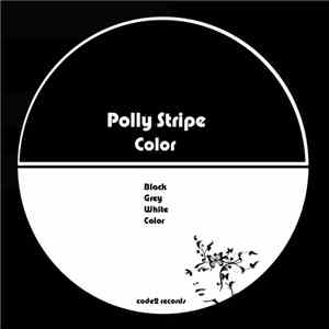 Polly Stripe - Color