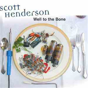 Scott Henderson  - Well To The Bone