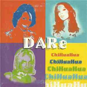 Dare  - Chihuahua