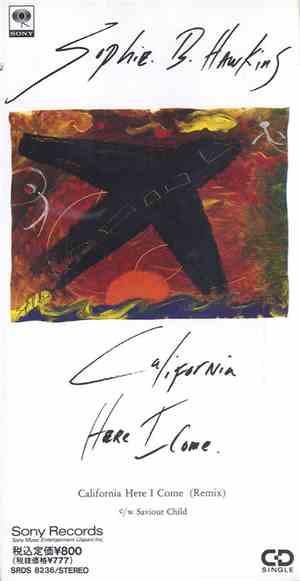 Sophie B. Hawkins - California Here I Come