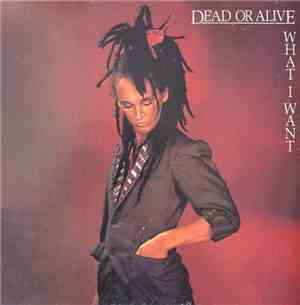 Dead Or Alive - What I Want