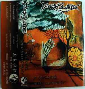 Desolate  - A Shadowed Dying Conscience