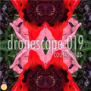 Cousin Silas - Dronescape 019