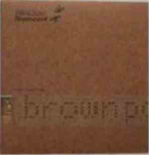 Roni Size Reprazent - Brown Paper Bag