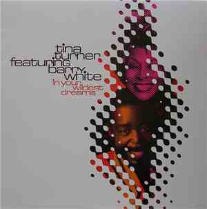 Tina Turner Featuring  Barry White - In Your Wildest Dreams