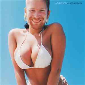 Aphex Twin - Windowlicker