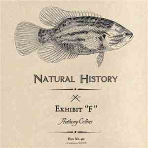 Anthony Collins - Exhibit 