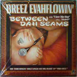 Breez Evahflowin' - Between Dah Seams
