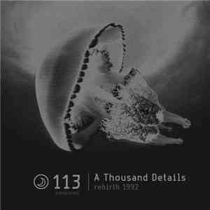A Thousand Details - Rebirth 1992