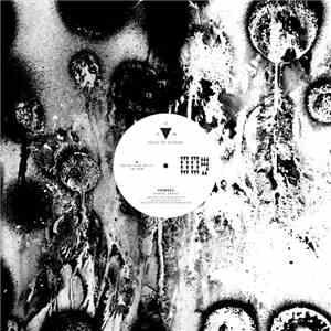Daniel Savio - Melek Taus