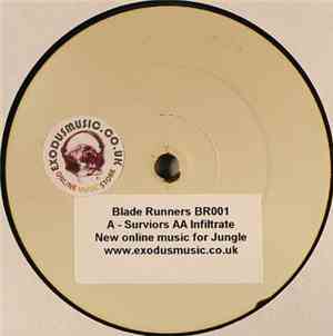 Destiny's Child / Sean Paul - Survivor / Infiltrate (Bladerunner Remixes)