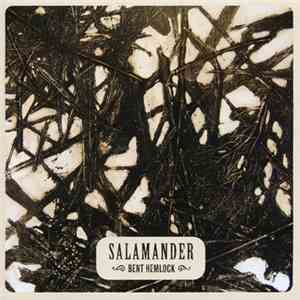 Salamander  - Bent Hemlock