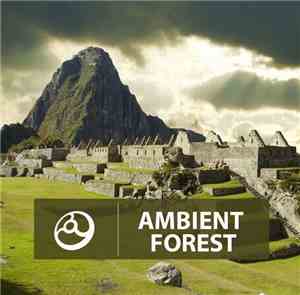 Various - Ambient Forest