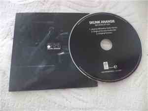 Skunk Anansie - Because Of You