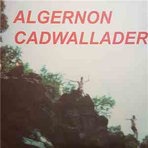 Algernon Cadwallader - Fun