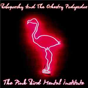 Bobopovsky And The Orkestry Podyezdov - The Pink Bard Mental Institute