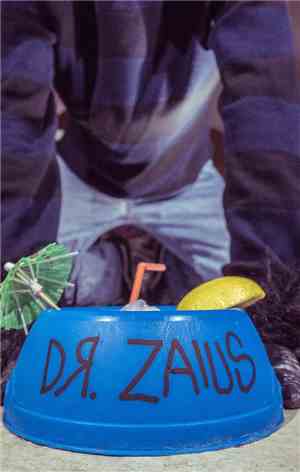 Dr. Zaius  - Dr. Zaius