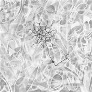 Ego Collapse - Mushroom Place In The Sludge Forest