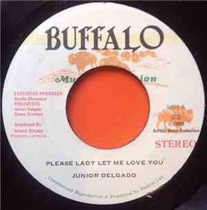 Junior Delgado - Please Lady Let Me Love You