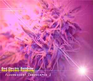 Red Electric Rainbow - Fluorescent Landscapes: Volume 1