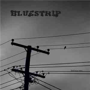 Bluestrip - Bird On A Wire